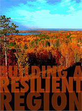 Building a Resilient Region